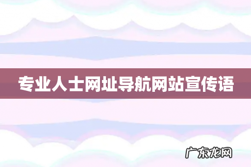 专业人士网址导航网站宣传语