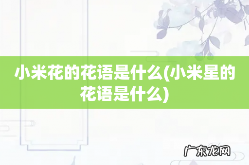 小米星的花语是什么 小米花的花语是什么