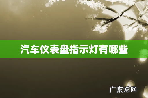 汽车仪表盘指示灯有哪些