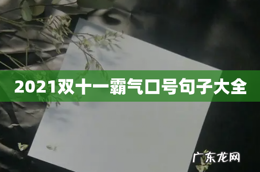 2021双十一霸气口号句子大全