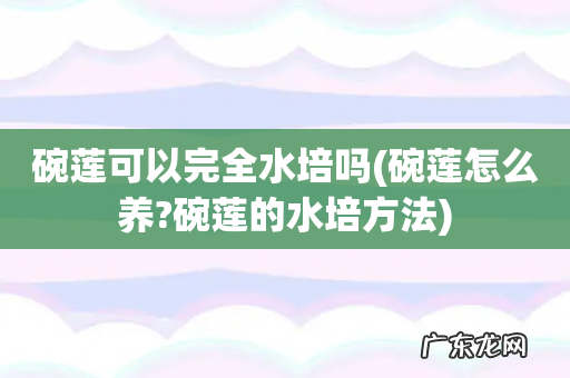 碗莲怎么养?碗莲的水培方法 碗莲可以完全水培吗