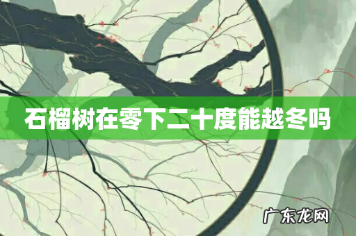 石榴树在零下二十度能越冬吗