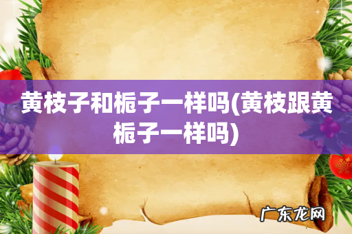 黄枝跟黄栀子一样吗 黄枝子和栀子一样吗