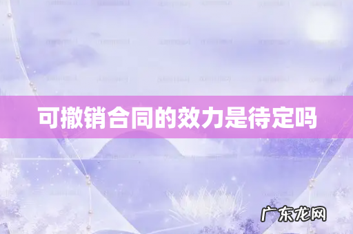 可撤销合同的效力是待定吗