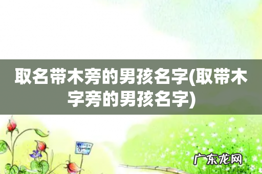 取带木字旁的男孩名字 取名带木旁的男孩名字