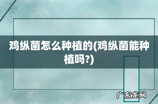 鸡纵菌能种植吗? 鸡纵菌怎么种植的