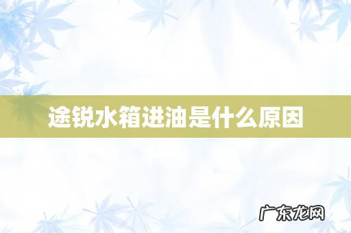 途锐水箱进油是什么原因