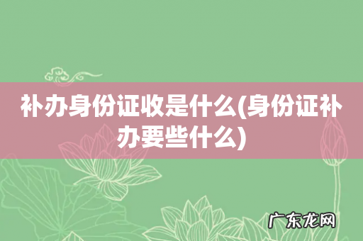 身份证补办要些什么 补办身份证收是什么
