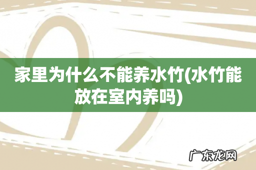 水竹能放在室内养吗 家里为什么不能养水竹
