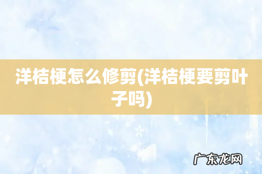 洋桔梗要剪叶子吗 洋桔梗怎么修剪