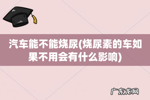 烧尿素的车如果不用会有什么影响 汽车能不能烧尿