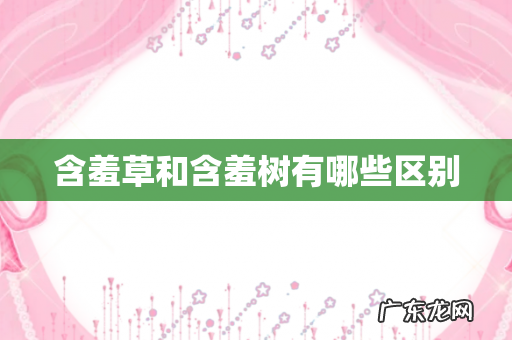 含羞草和含羞树有哪些区别