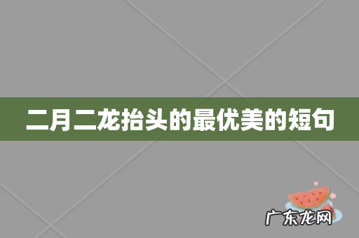 二月二龙抬头的最优美的短句