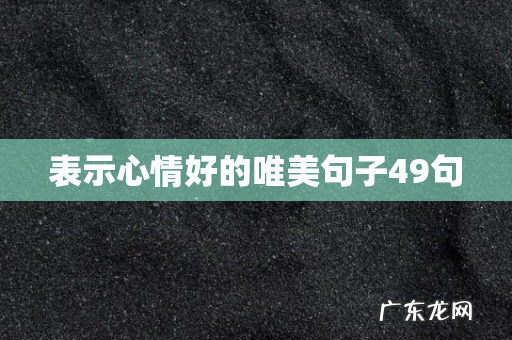 表示心情好的唯美句子49句
