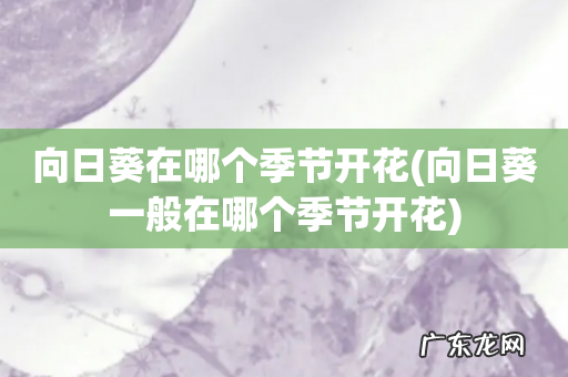 向日葵一般在哪个季节开花 向日葵在哪个季节开花