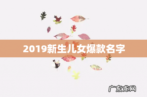 2019新生儿女爆款名字