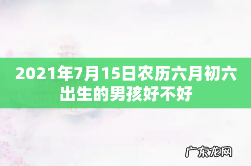2021年7月15日农历六月初六出生的男孩好不好