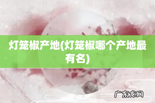 灯笼椒哪个产地最有名 灯笼椒产地