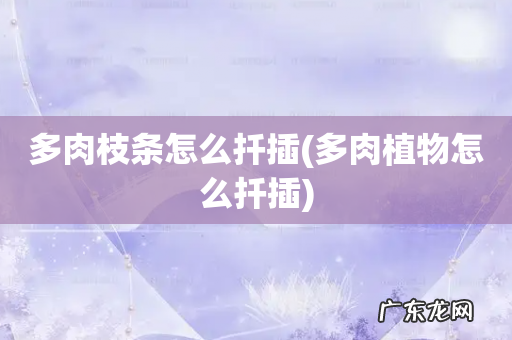 多肉植物怎么扦插 多肉枝条怎么扦插