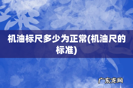 机油尺的标准 机油标尺多少为正常
