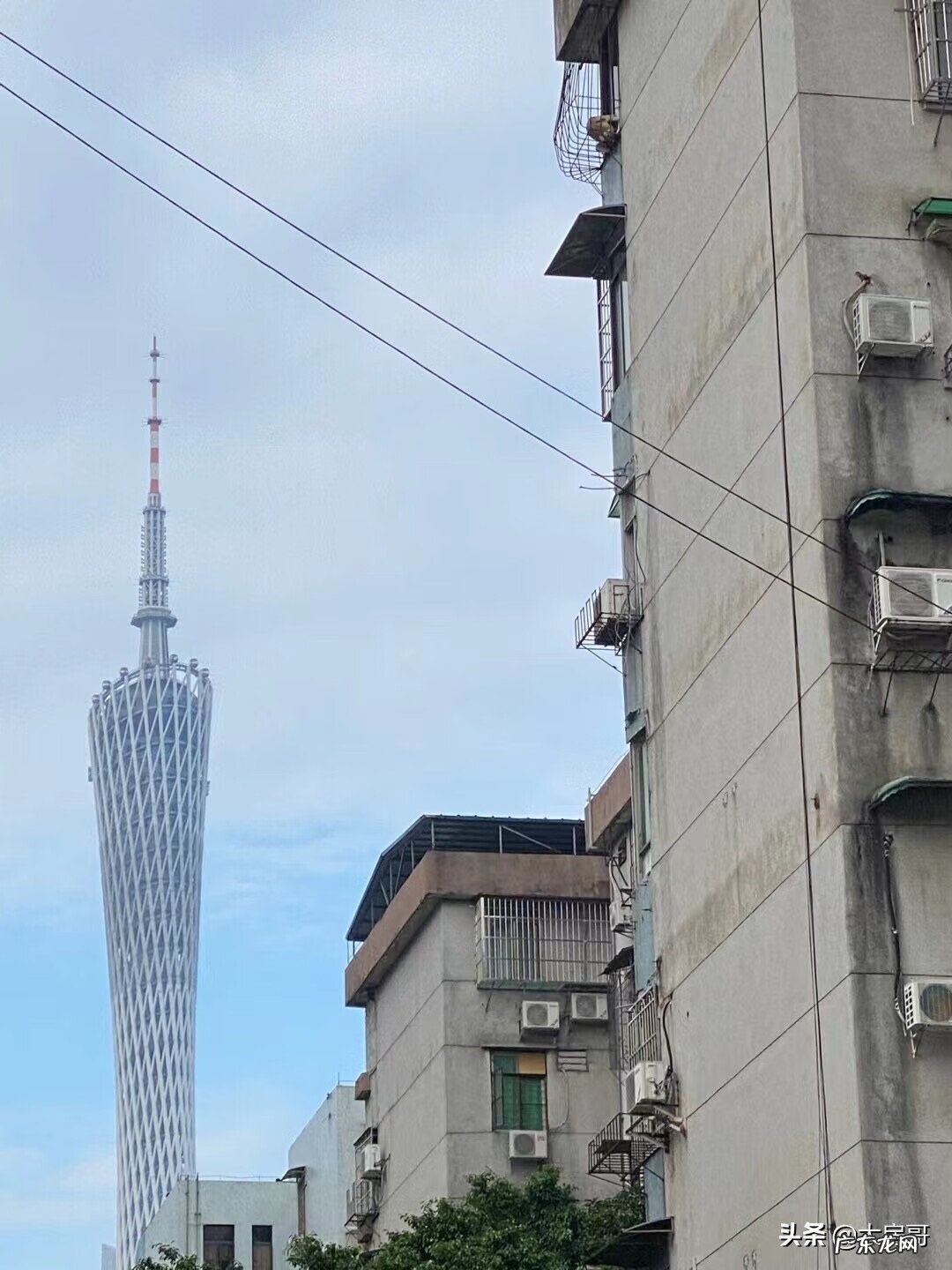 好运风水阵 珠江新城风水阵