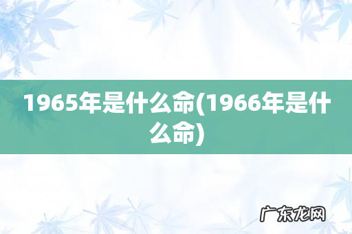 1966年是什么命 1965年是什么命