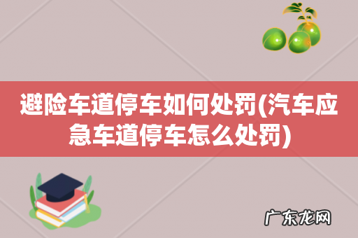 汽车应急车道停车怎么处罚 避险车道停车如何处罚