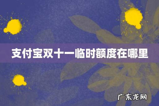 支付宝双十一临时额度在哪里