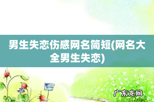 网名大全男生失恋 男生失恋伤感网名简短