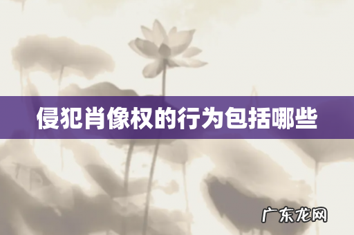 侵犯肖像权的行为包括哪些