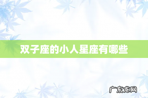 双子座的小人星座有哪些