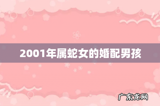 2001年属蛇女的婚配男孩