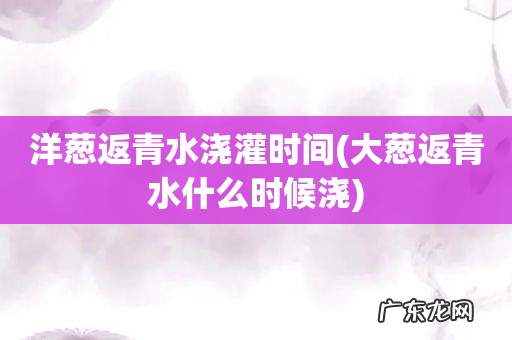 大葱返青水什么时候浇 洋葱返青水浇灌时间