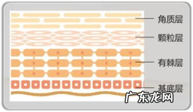 去除红血丝的护肤品 皮肤过敏红血丝