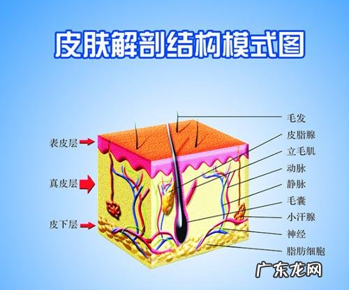 去除红血丝的护肤品 皮肤过敏红血丝
