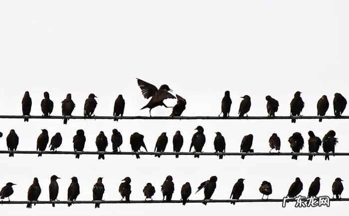 女人生孩子 女人生孩子的图片过程