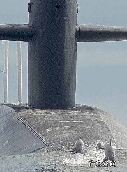 女人生孩子 女人生孩子的图片过程