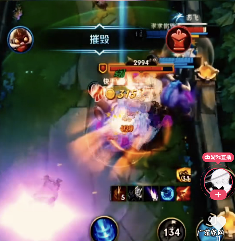 薇古丝英雄介绍 LOL蔚