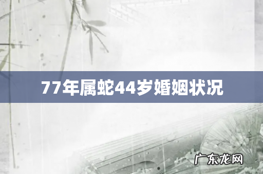 77年属蛇44岁婚姻状况