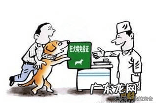 狂犬病通过什么途径传播 狂犬病得传播途径