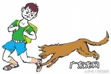 狂犬病通过什么途径传播 狂犬病得传播途径