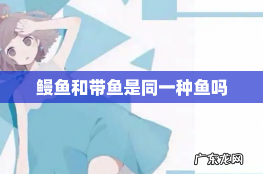 鳗鱼和带鱼是同一种鱼吗