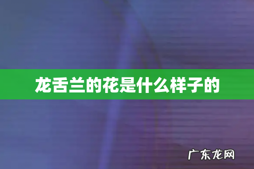 龙舌兰的花是什么样子的