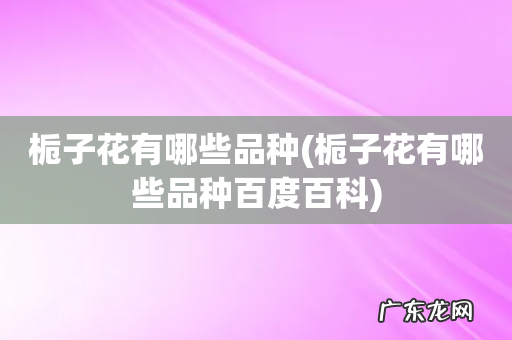 栀子花有哪些品种百度百科 栀子花有哪些品种
