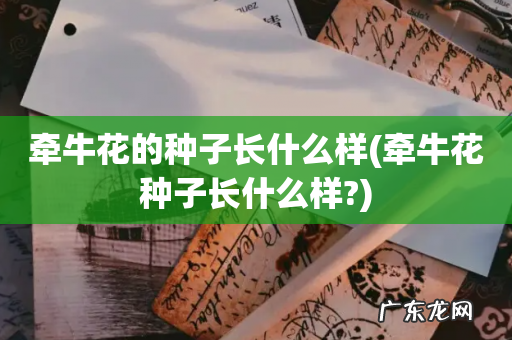 牵牛花种子长什么样? 牵牛花的种子长什么样