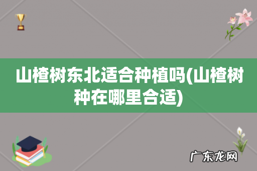 山楂树种在哪里合适 山楂树东北适合种植吗