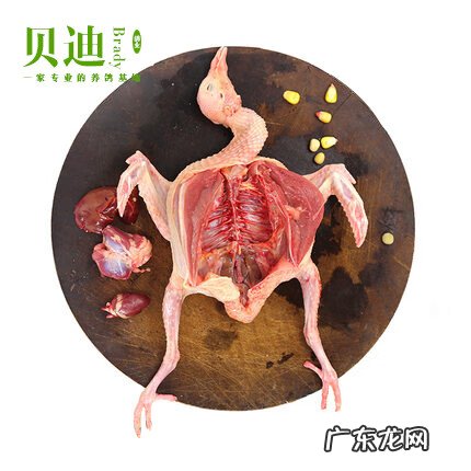 吃乳鸽的功效与作用 乳鸽的功效与作用