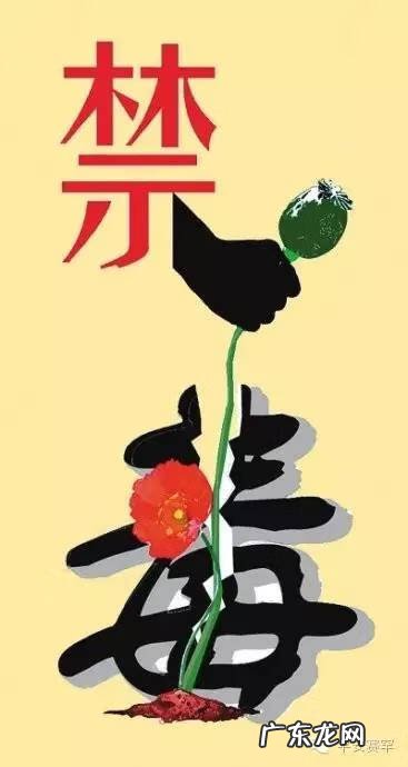 毒品对身体的危害 毒品的危害