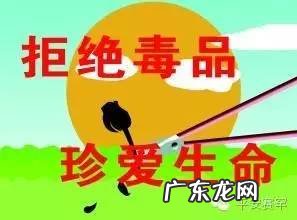 毒品对身体的危害 毒品的危害