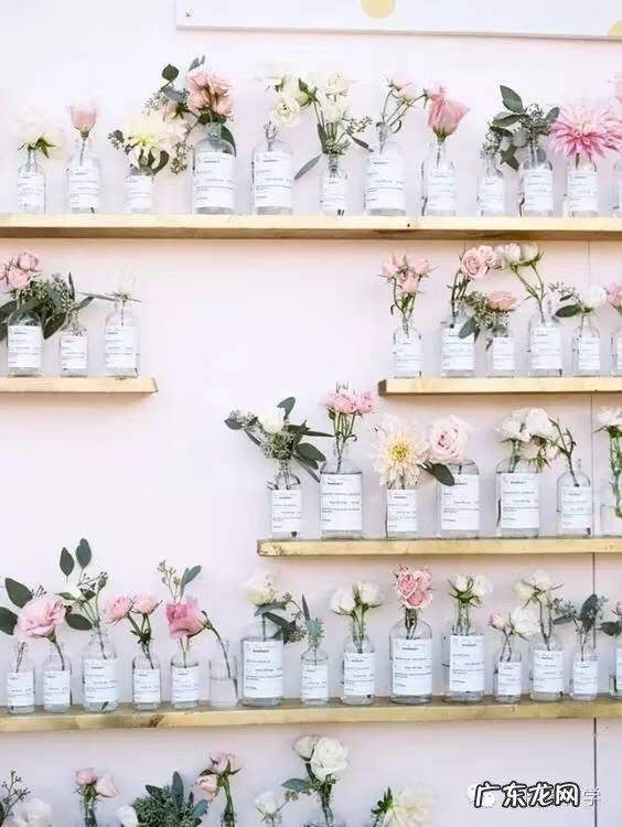 什么花养在室内风水比较好 室内养花的风水讲究